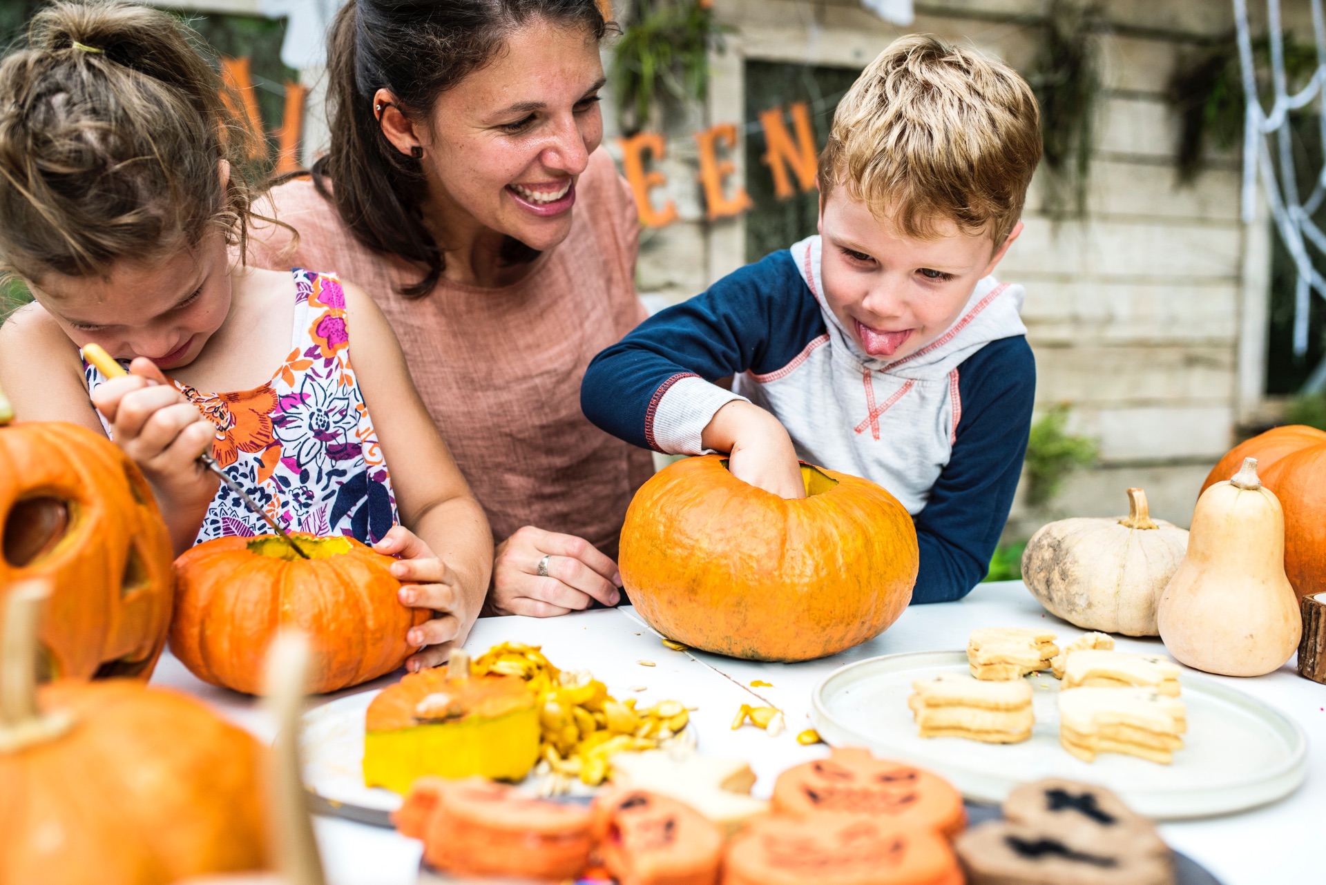 Pumpkin Picking | Bolin Grove Farms Pumpkin Picking | Bolin Grove Farms