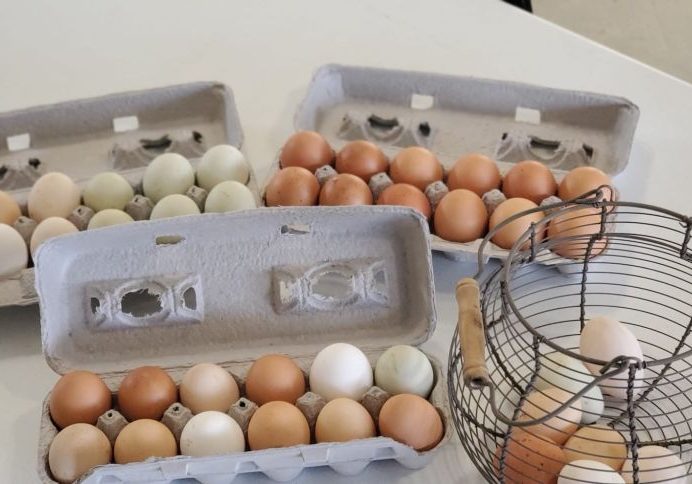 display of eggs on table